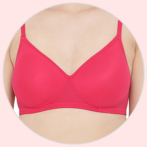 XXYX Lingerie Padded Non Wired Full Coverage T-shirt Bra in Purple product view 2